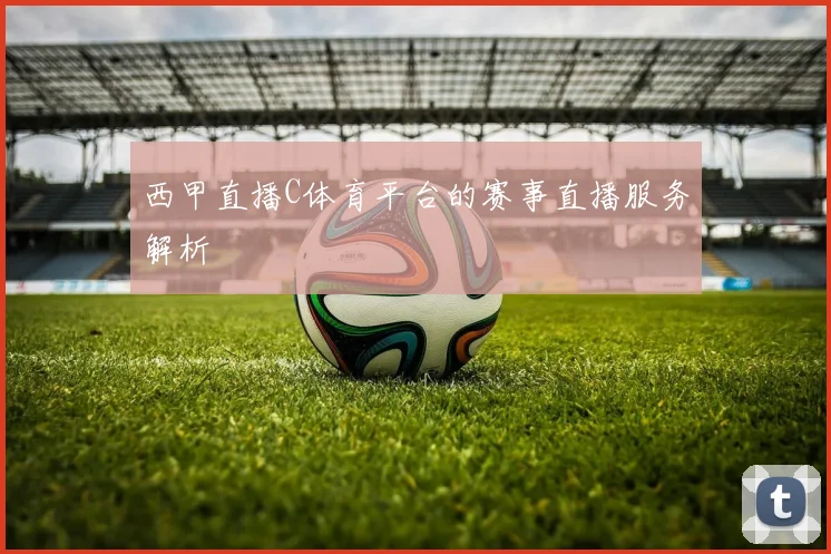 西甲直播C体育平台的赛事直播服务解析