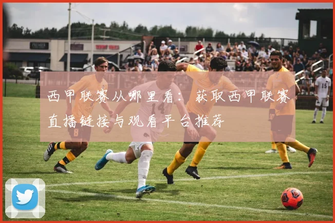 西甲联赛从哪里看：获取西甲联赛直播链接与观看平台推荐