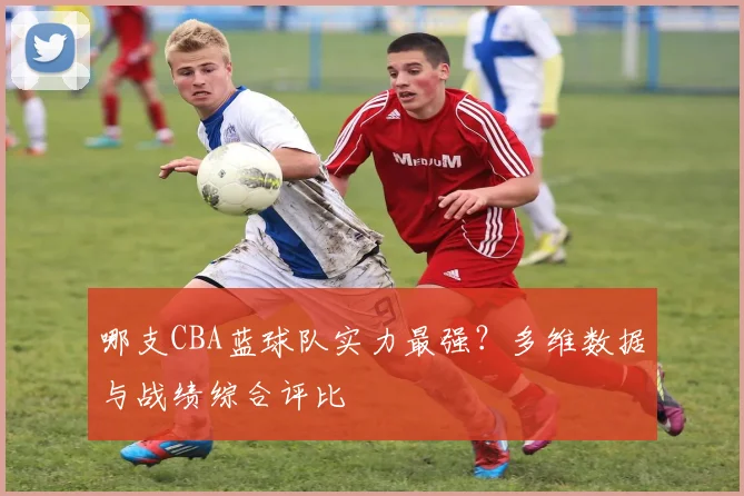 哪支CBA蓝球队实力最强?多维数据与战绩综合评比