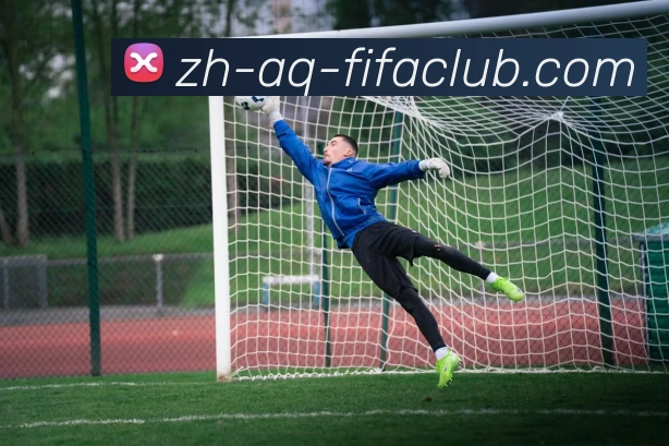 世界杯买球APP 高清赛事图